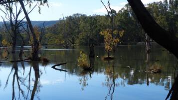 A calm lake with trees reflected in the water, surrounded by a forested area.