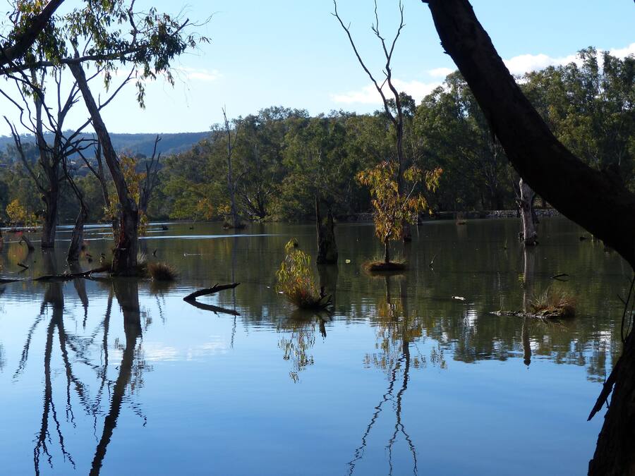 A calm lake with trees reflected in the water, surrounded by a forested area.