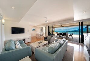Flat-screen TV