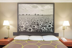 办公桌、遮光窗帘、熨斗/熨衣板、免费婴儿床