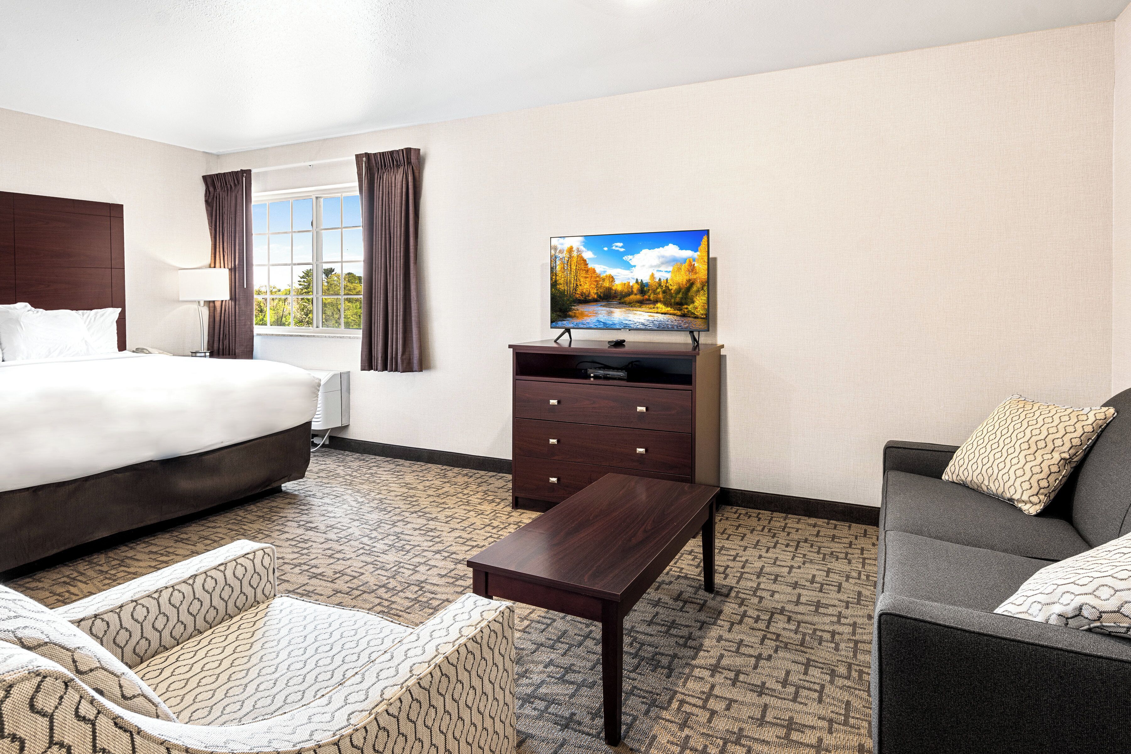 A hotel room with a bed, a TV on a dresser, a sofa, and a patterned armchair.