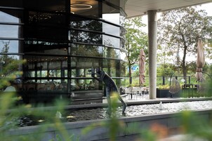 テラス / パティオ