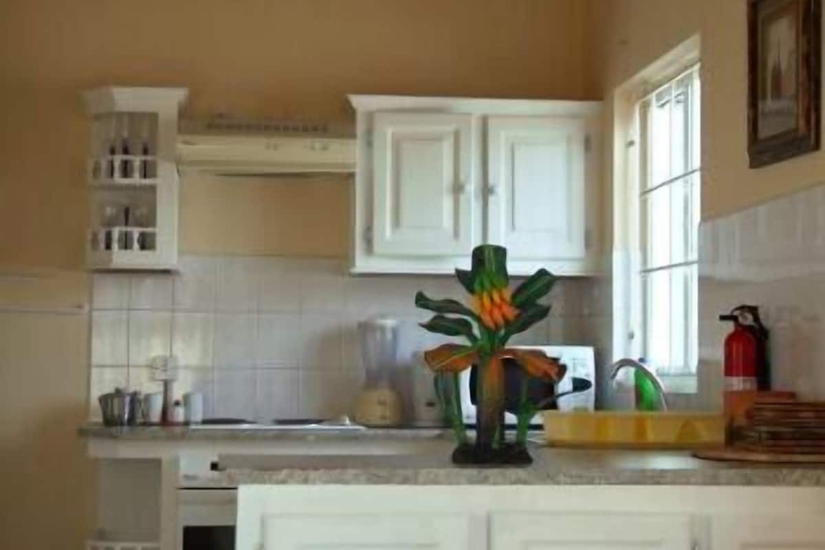 Standard Room, 1 Bedroom | Private kitchen