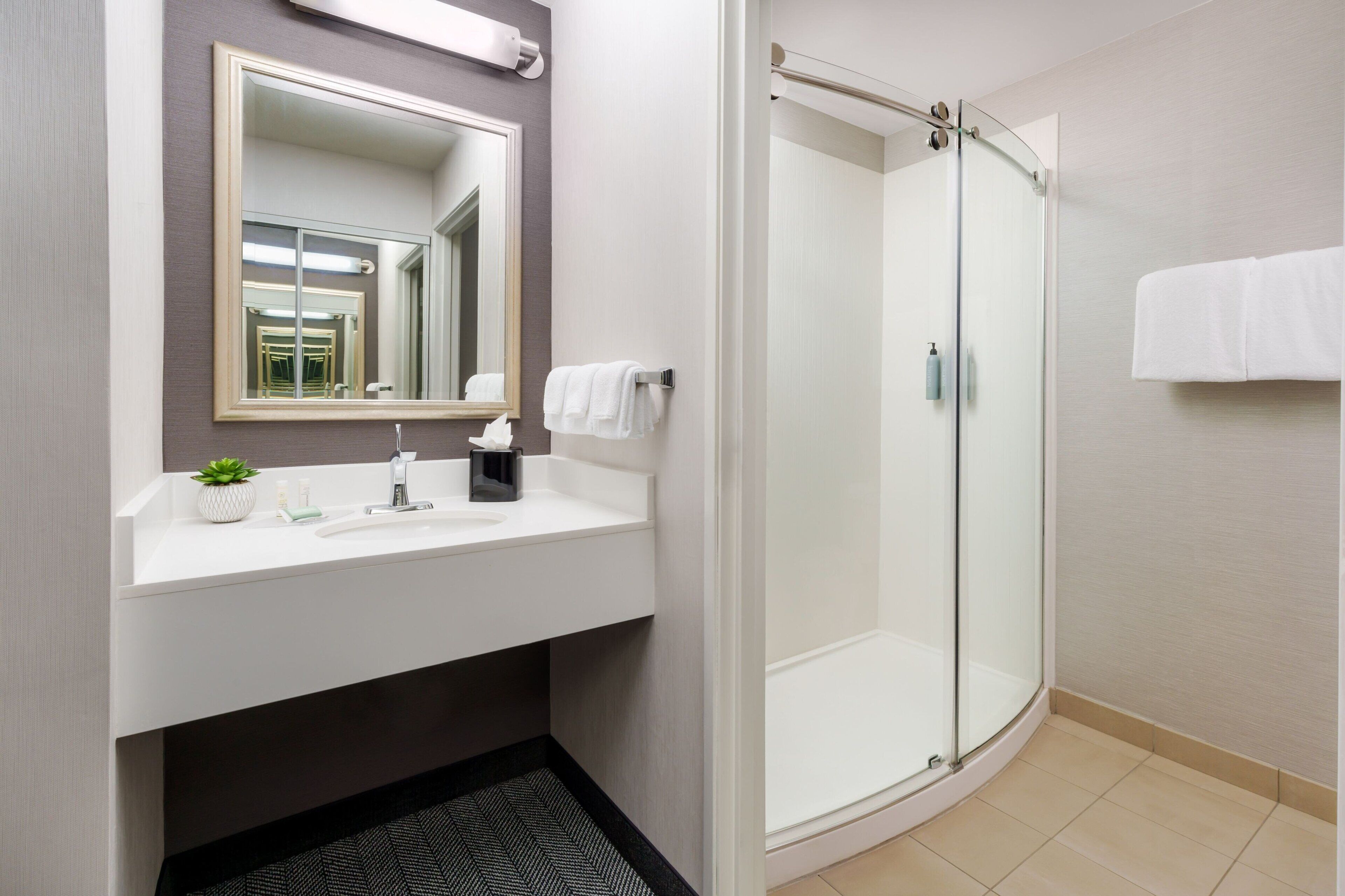 A modern bathroom with a glass-enclosed shower, a white sink with a mirror above it, and a small plant on the counter.