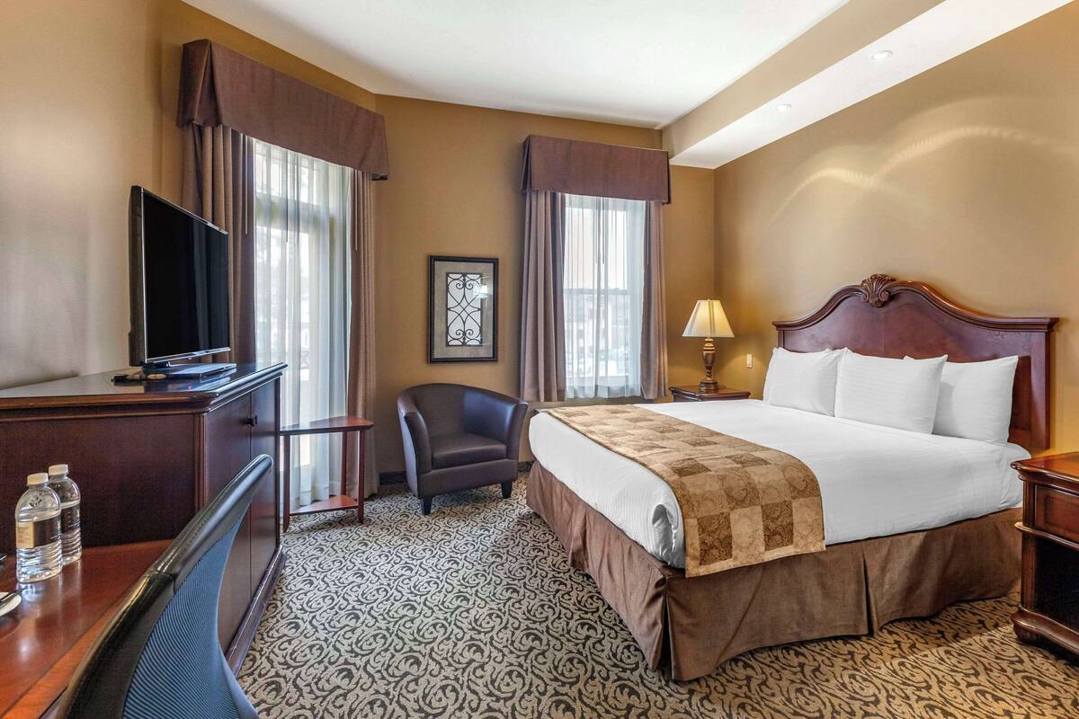 Une chambre d’hôtel avec un lit, un bureau avec une télévision, une chaise et un tapis à motifs.