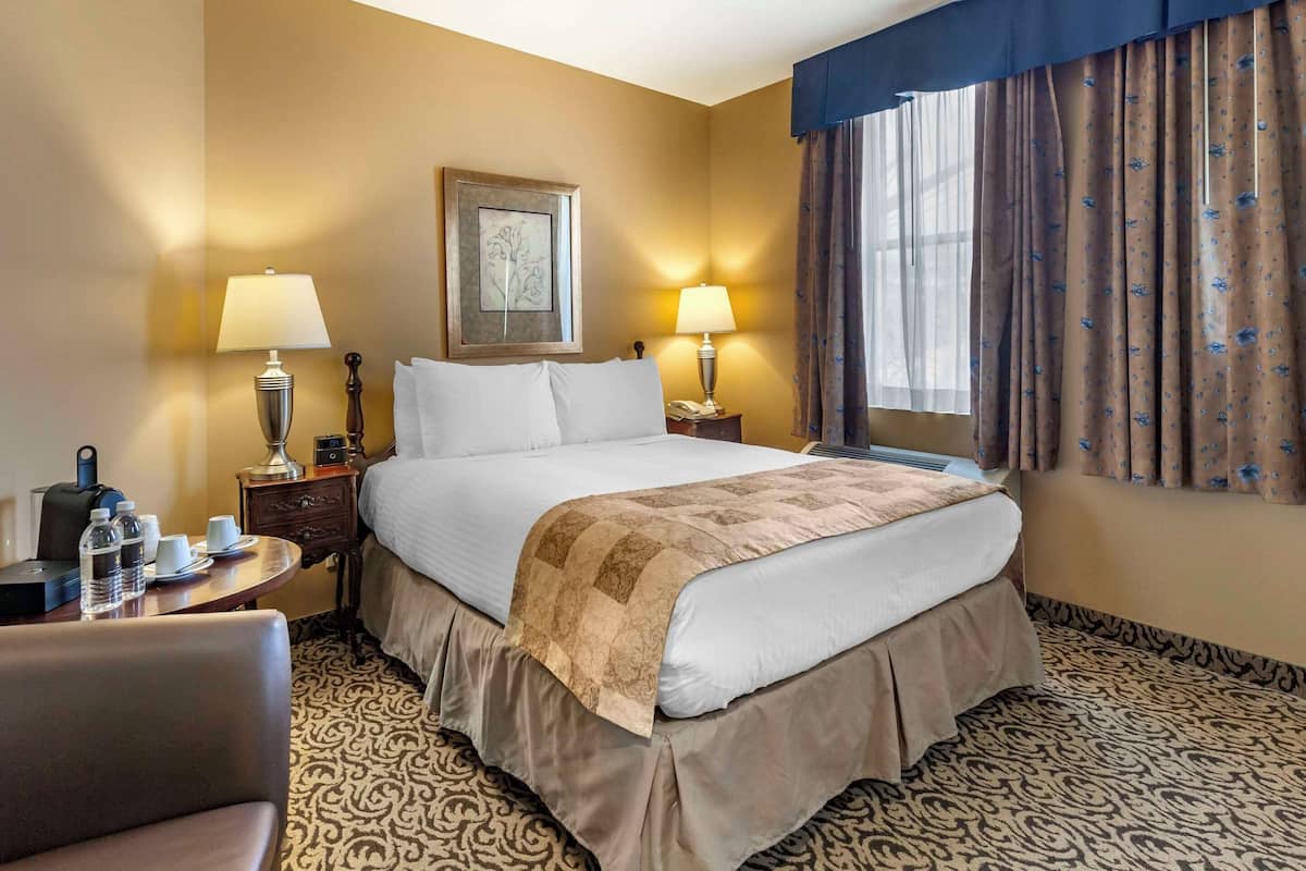 standard room, 1 queen bed, non smoking | desk, iron/ironing board, free wifi, bed sheets