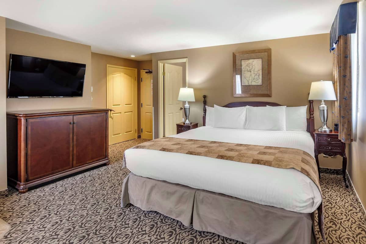 Une chambre d’hôtel avec un grand lit, un téléviseur fixé au mur, une commode en bois, deux lampes de chevet et un tapis à motifs.
