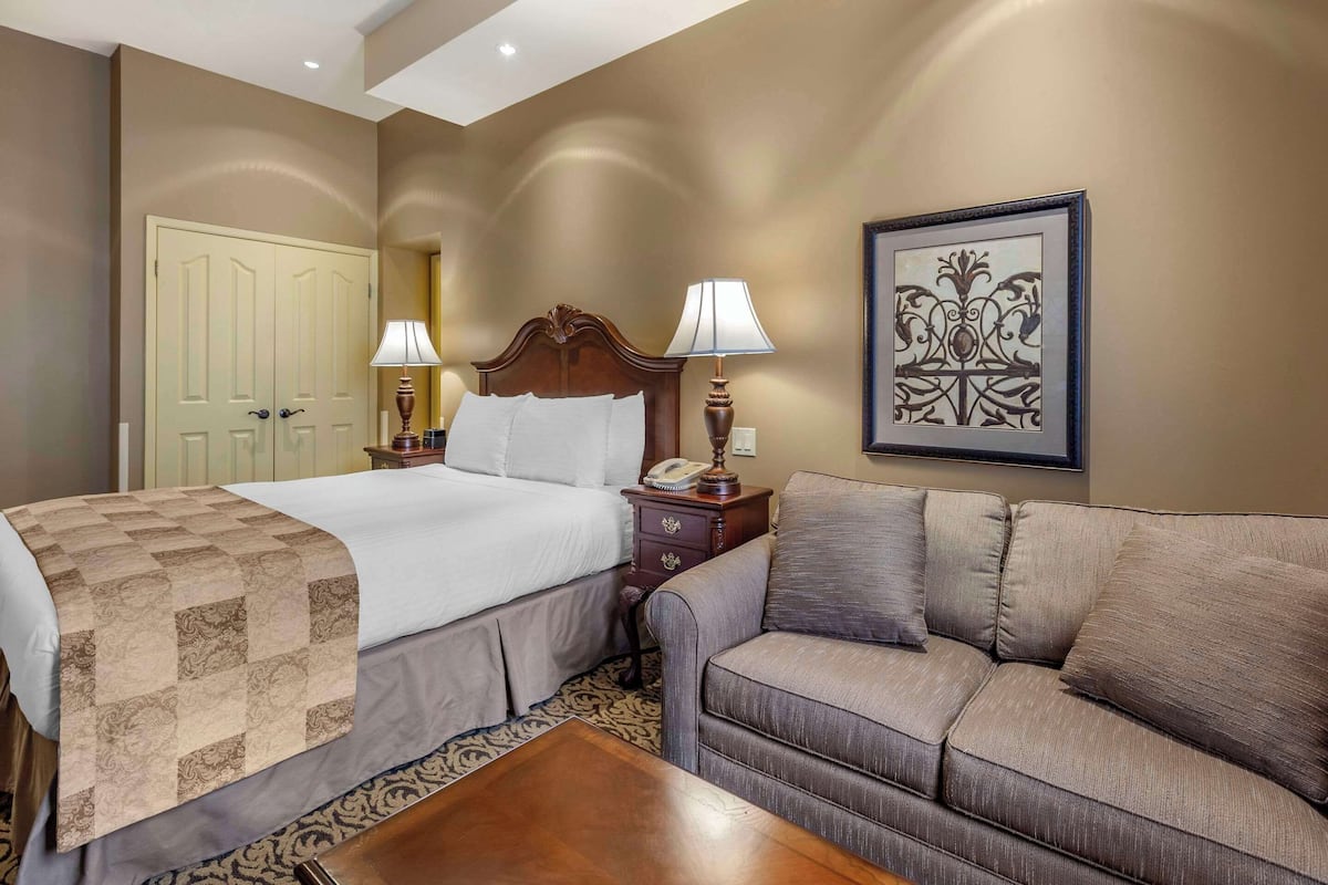 Une chambre d’hôtel avec un lit, un canapé, une table de chevet avec une lampe, une œuvre d’art encadrée au mur et une porte.
