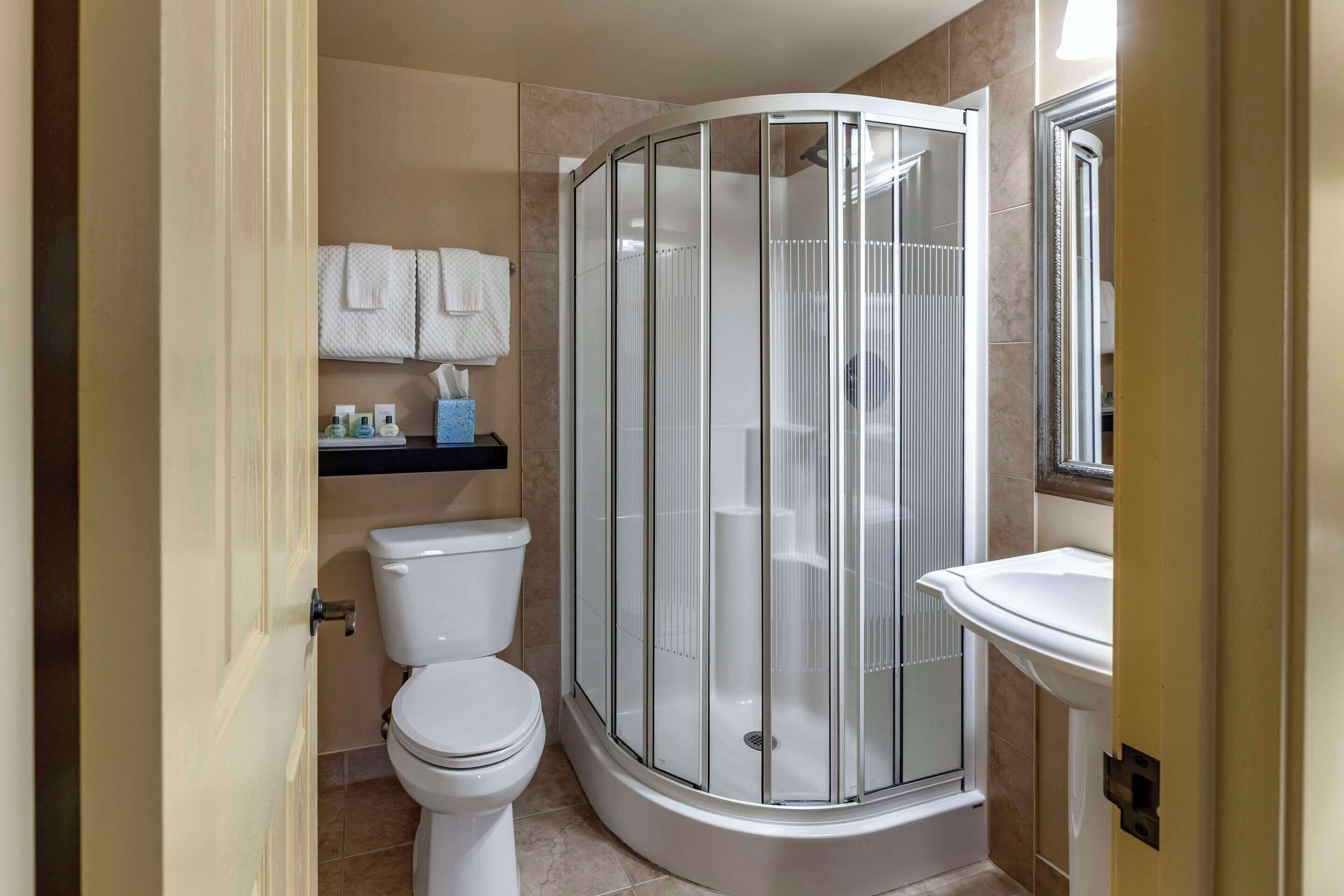 standard room, 1 king bed, non smoking, jetted tub | desk, iron/ironing board, free wifi, bed sheets