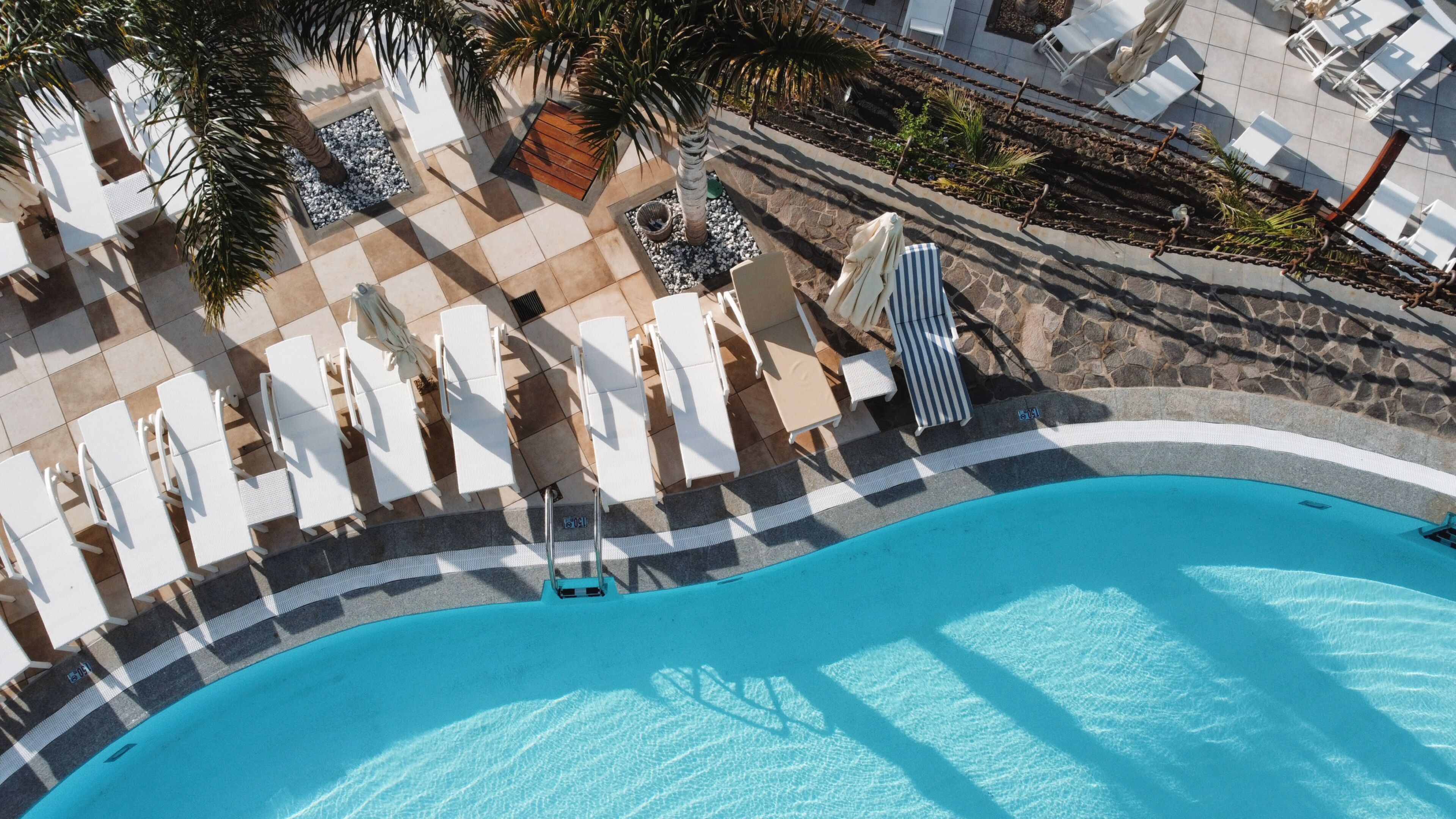 Vue aérienne d’un espace piscine avec des chaises longues et un palmier.
