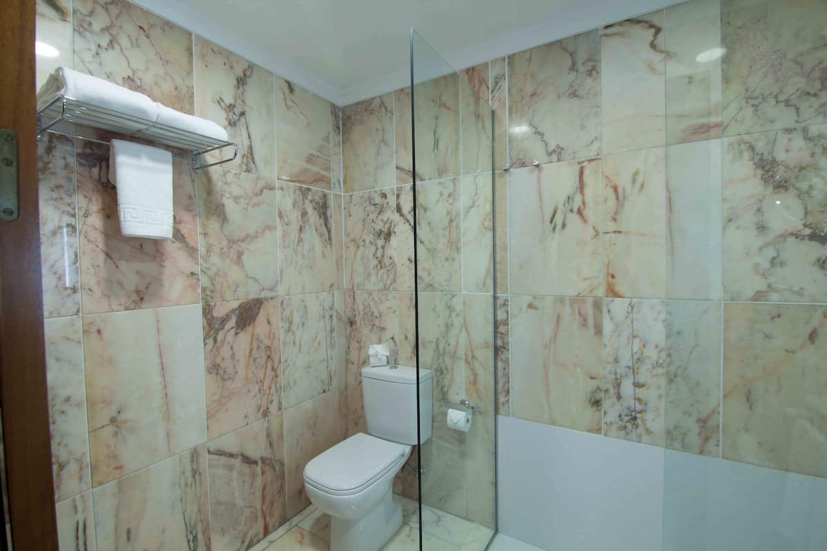 free toiletries, hair dryer, bidet, towels