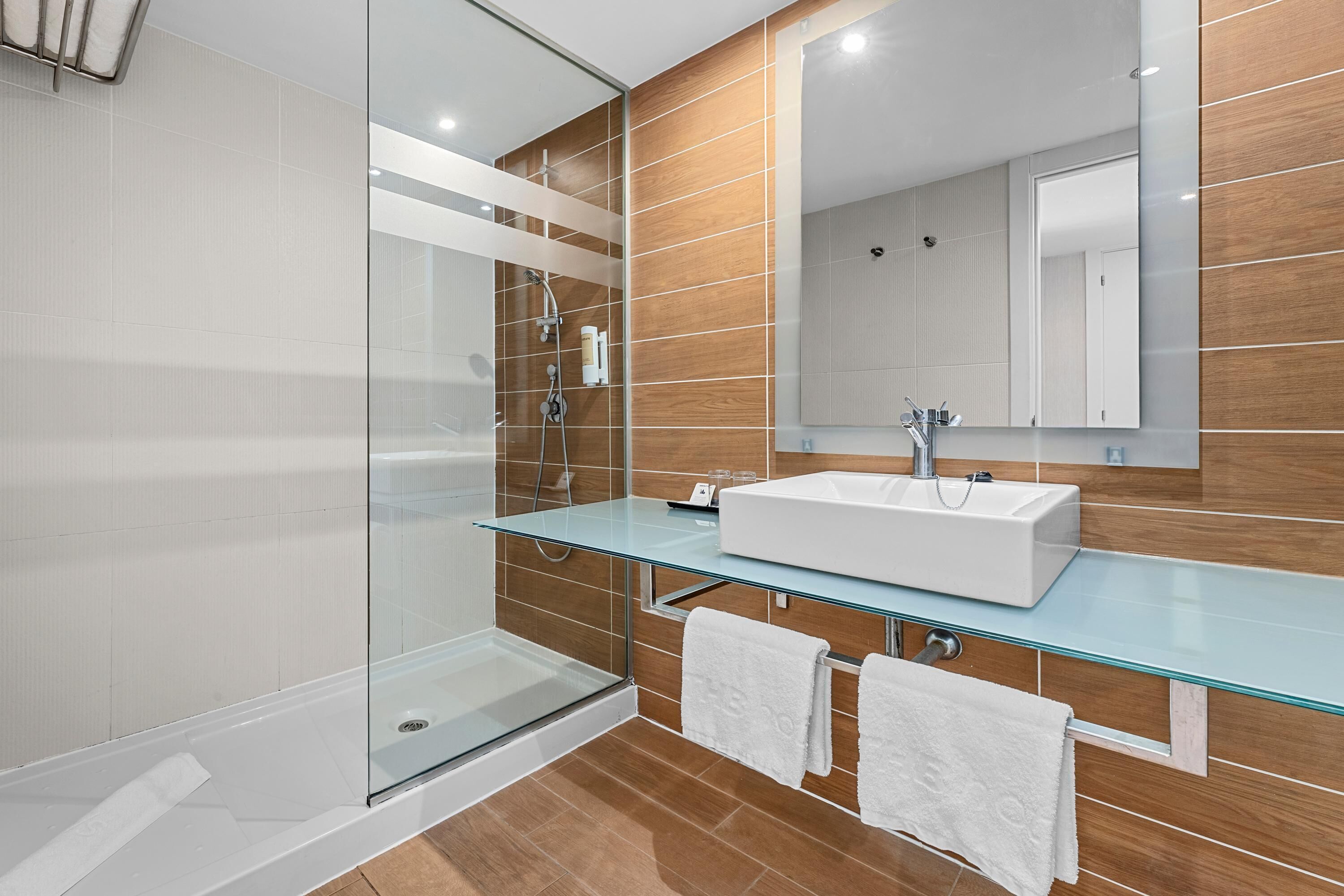 A modern bathroom with a glass shower enclosure, a white sink, and a large mirror.