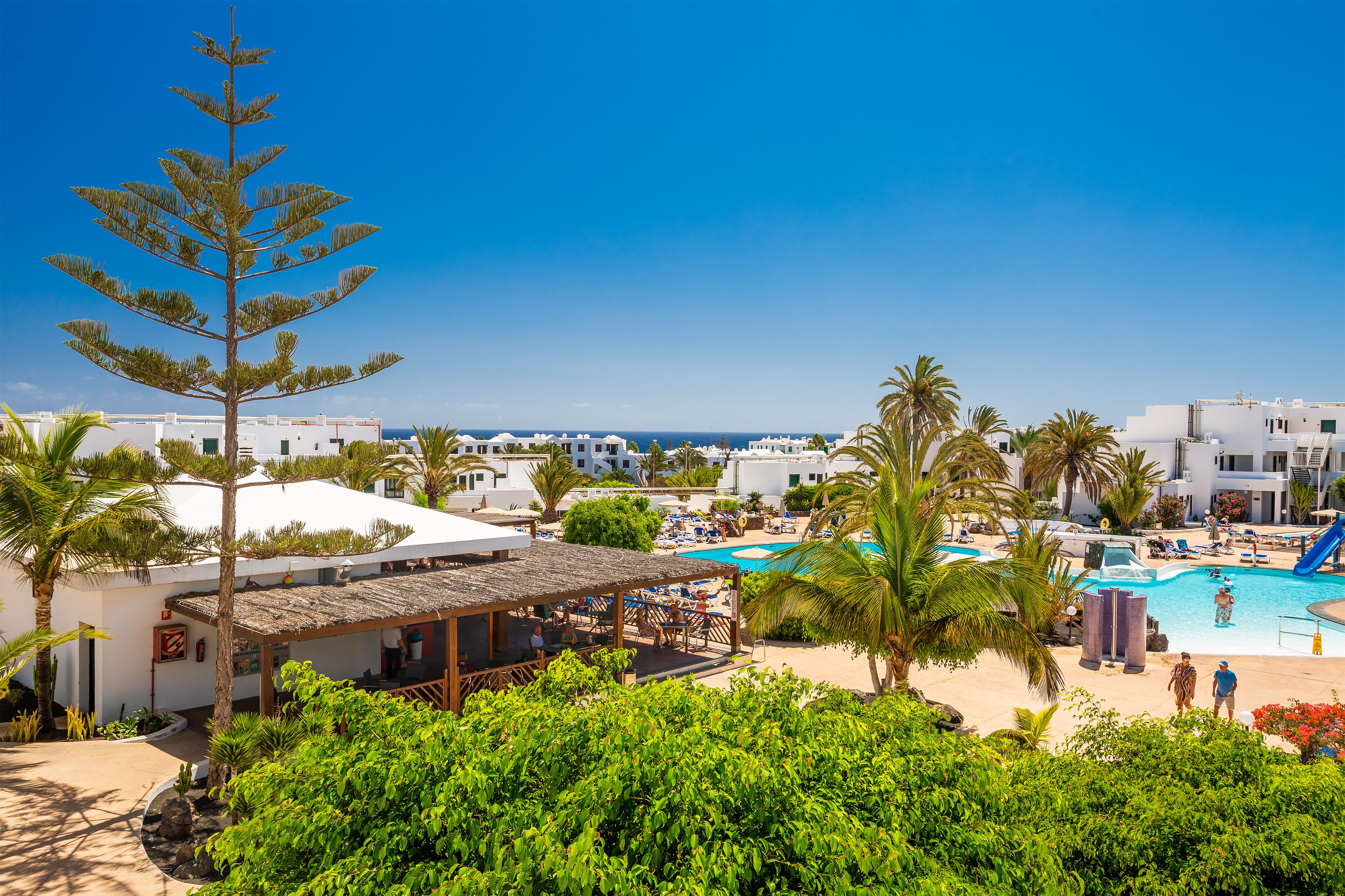 Un resort con piscina, palmeras y zona de playa.