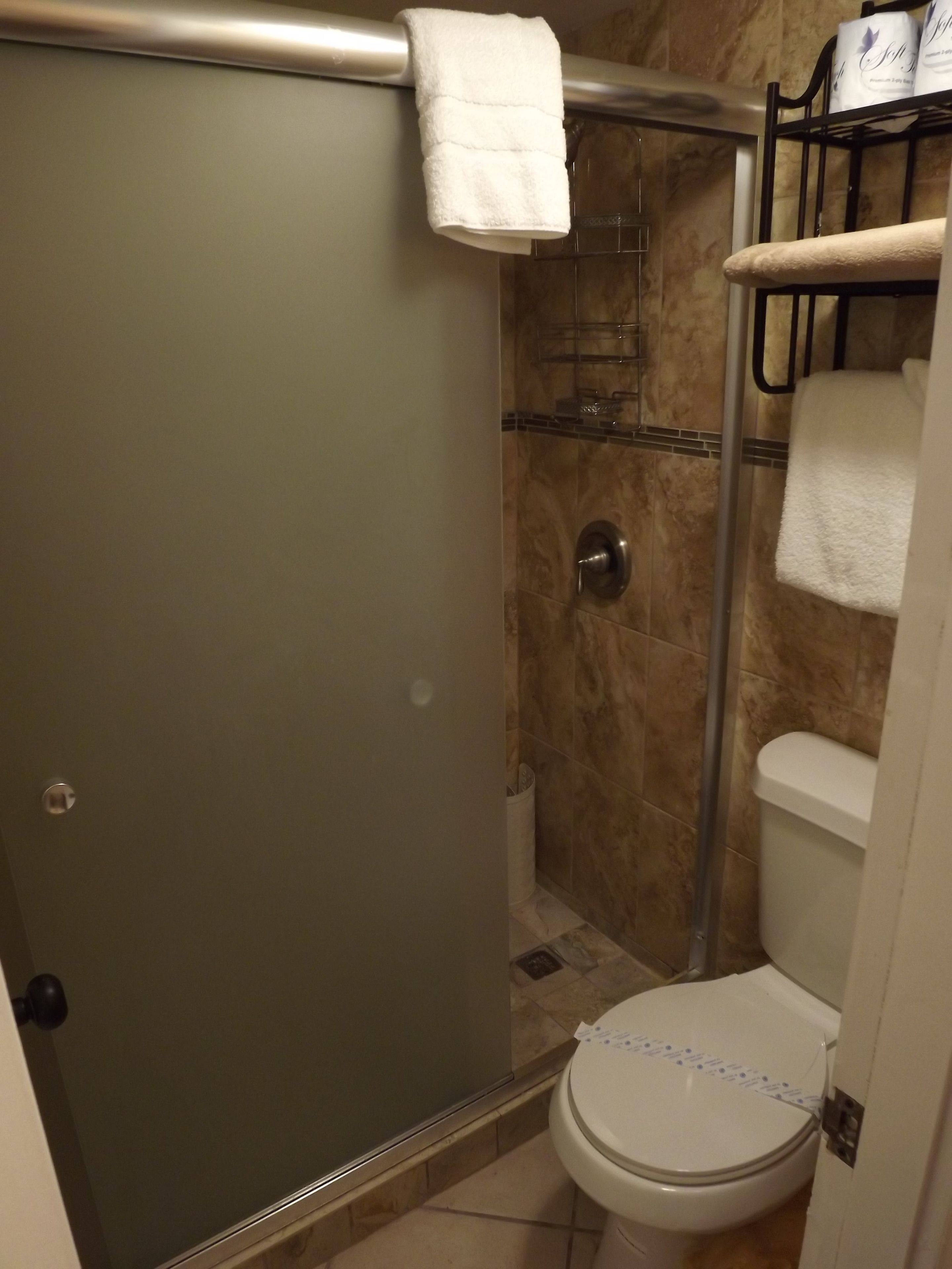 Un baño con cabina de ducha de vidrio, inodoro y barra para toallas.