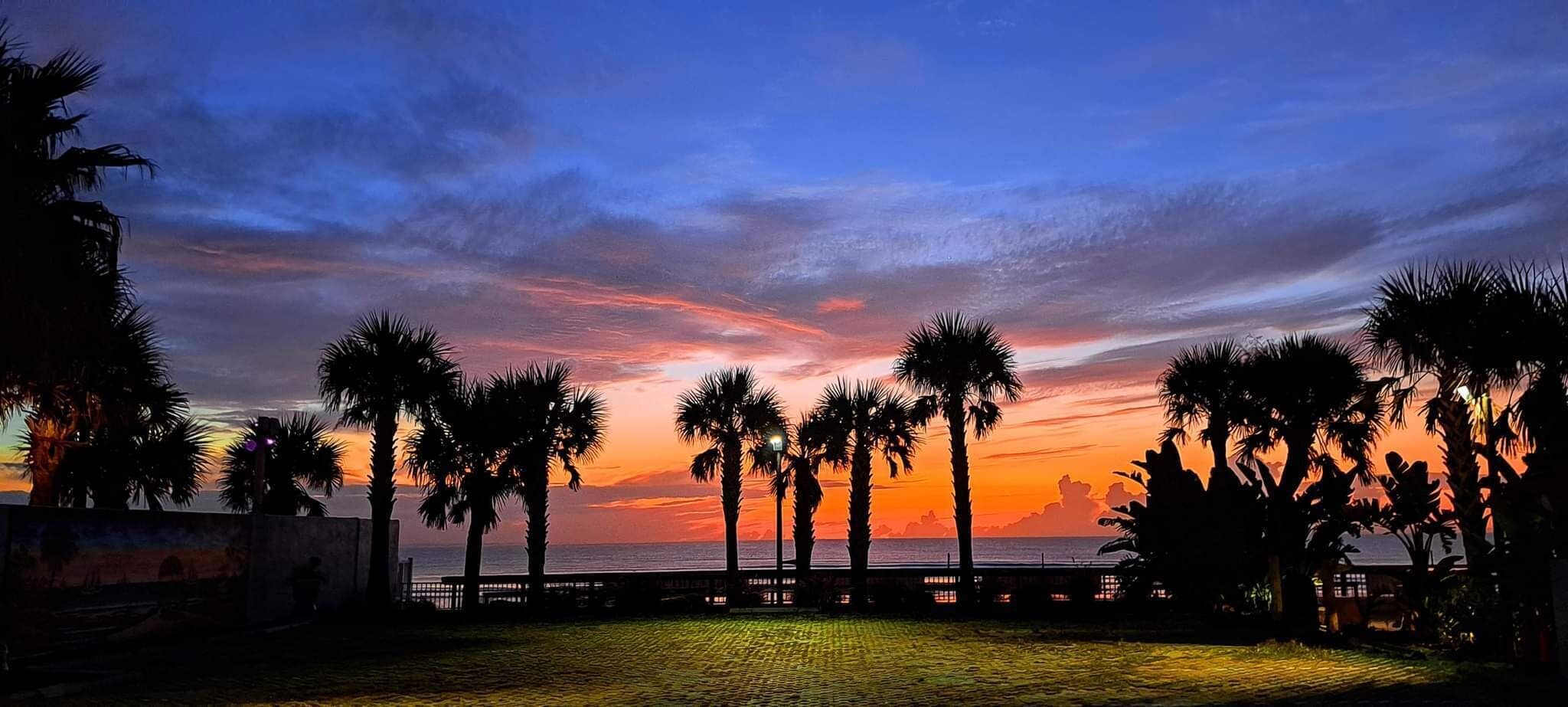Vista al atardecer con palmeras y una playa.