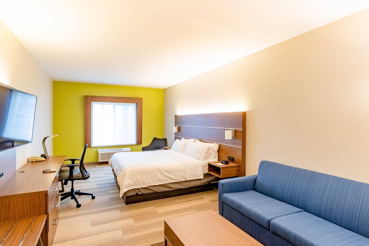 A hotel room with a bed, a desk, a chair, a sofa, a TV, and a window with blinds.