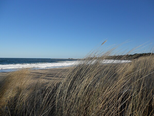 Hiking - Hotel Timmendorfer Strand (Timmendorfer Strand)