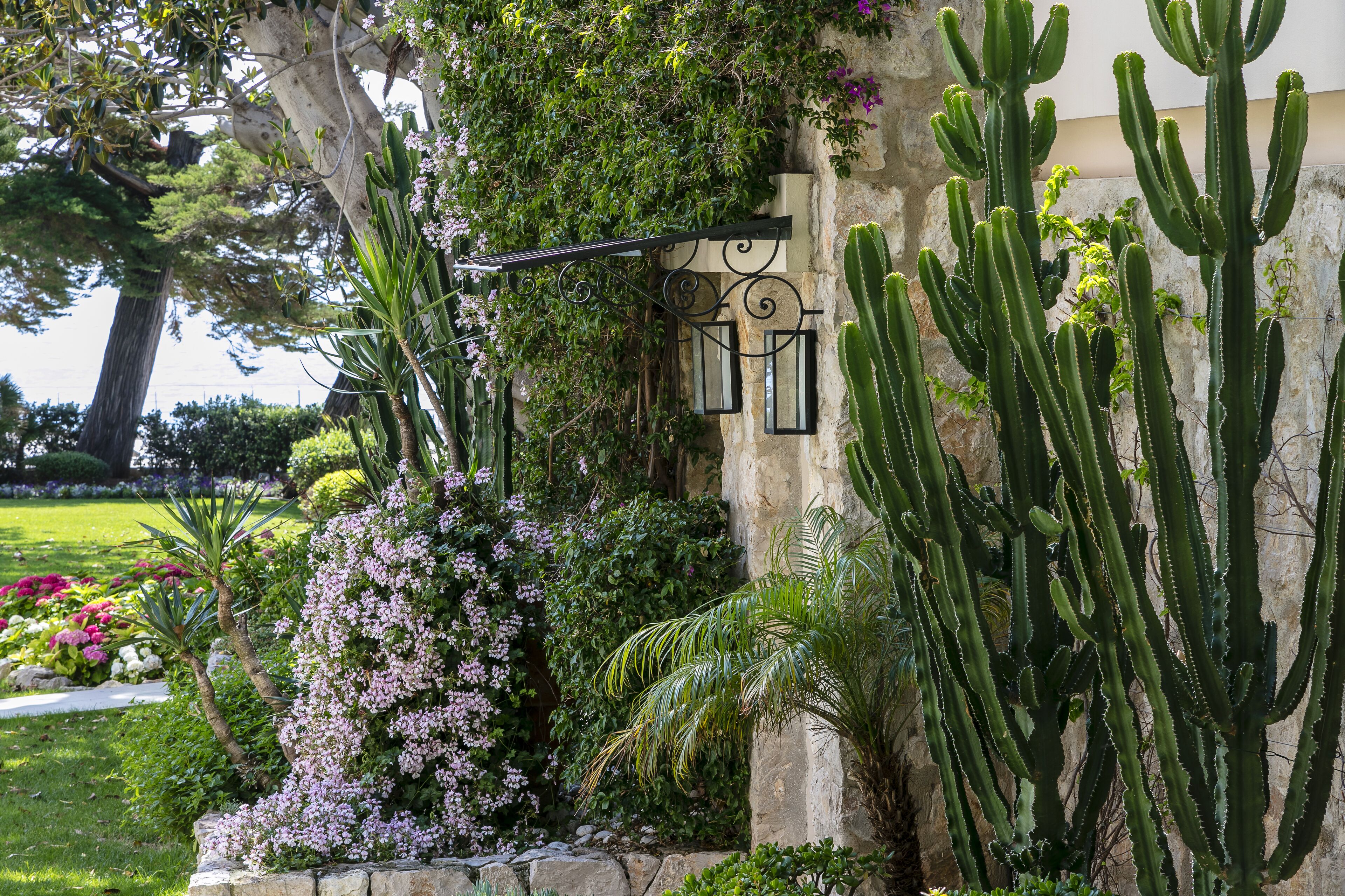 suite rêve du parc, vue mer | garden view