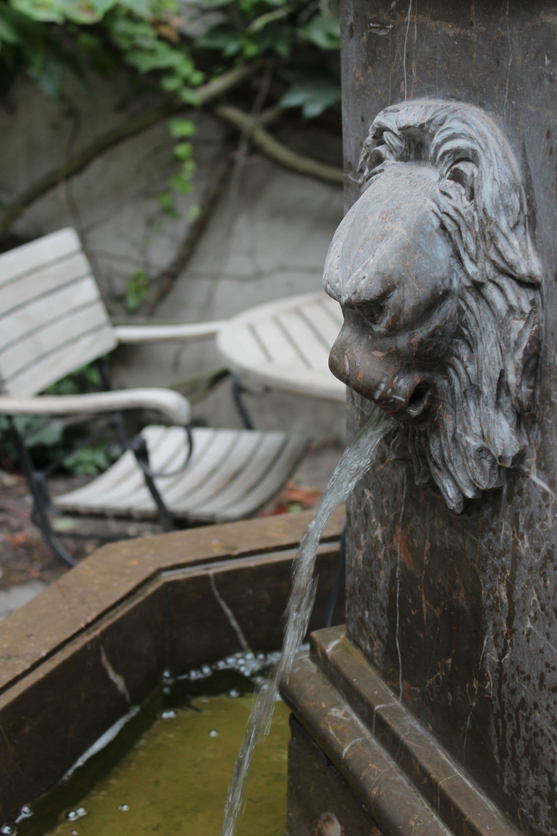 A stone fountain with a lion's head, surrounded by a stone wall and greenery.
