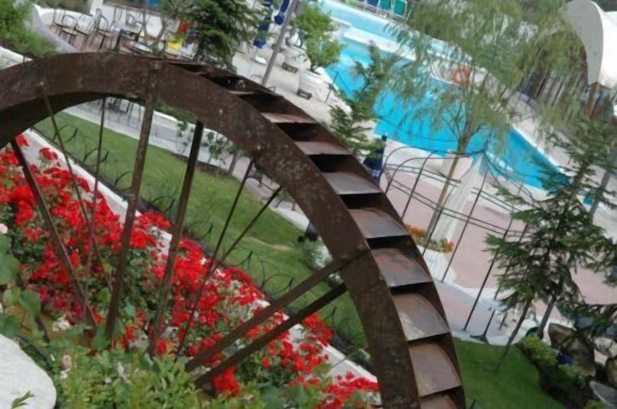 Un escalier en colimaçon avec une rampe en métal, entouré de fleurs rouges et de verdure.