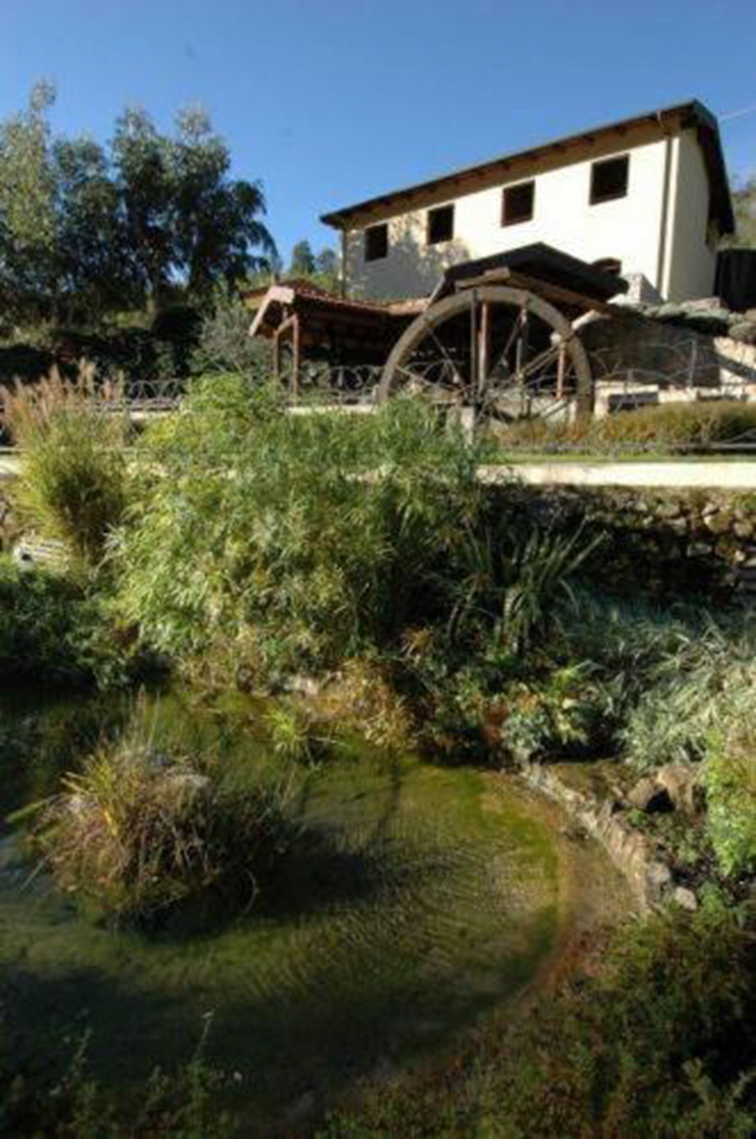 Un bâtiment doté d’une roue à eau et d’un étang.