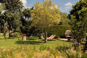 로열 스위트, 테라스 | 테라스/파티오