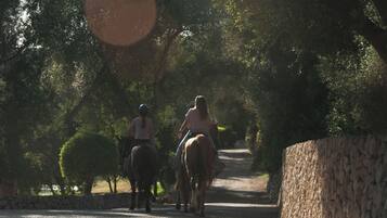 Twee personen rijden op paarden op een verhard pad, omringd door bomen en stenen muren.