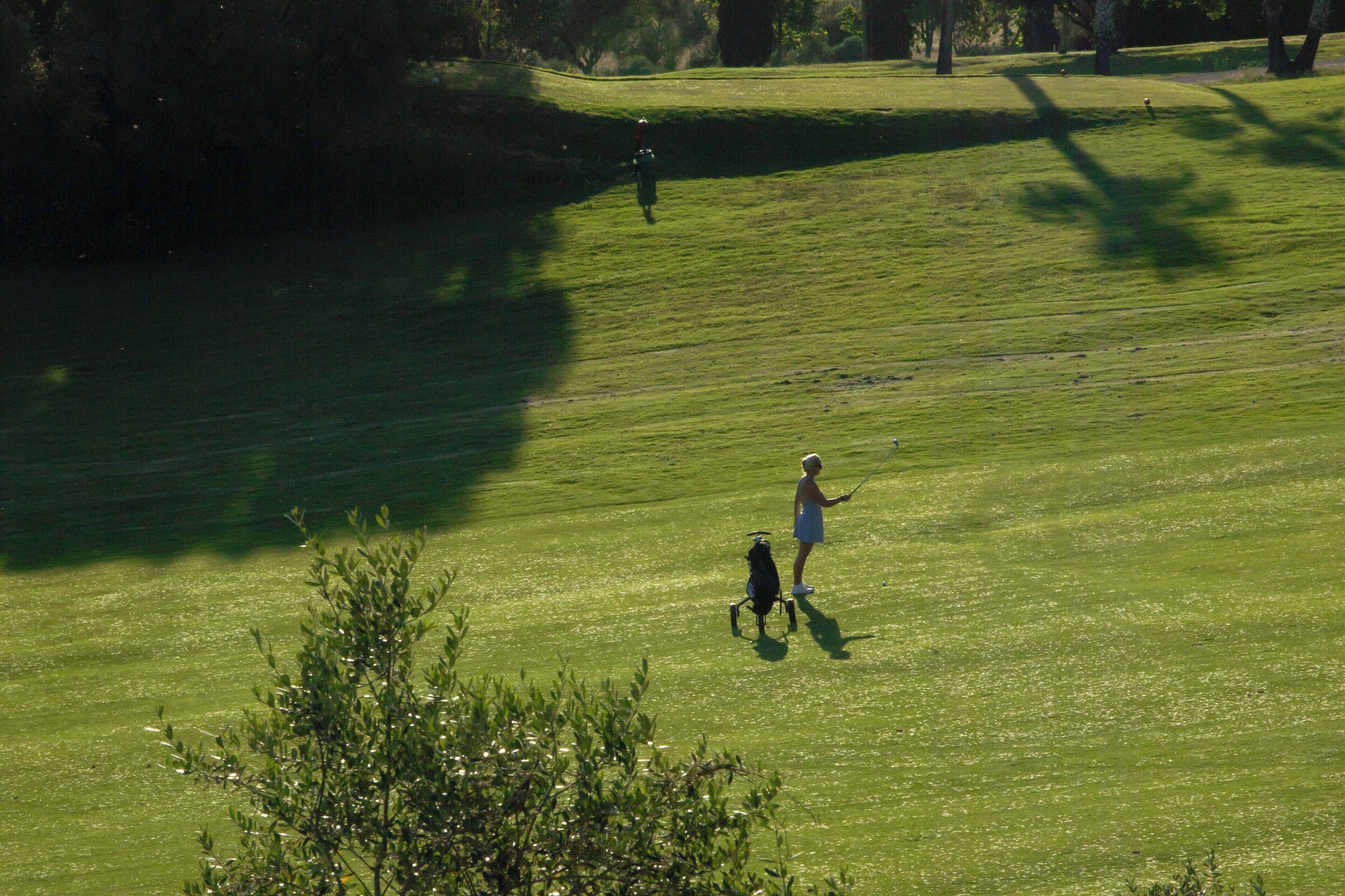 Een golfbaan met een persoon en een hond.