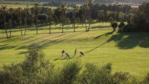 A golf course with a clear path, palm trees, and distant buildings. - Rotana la Reserva (Manacor)