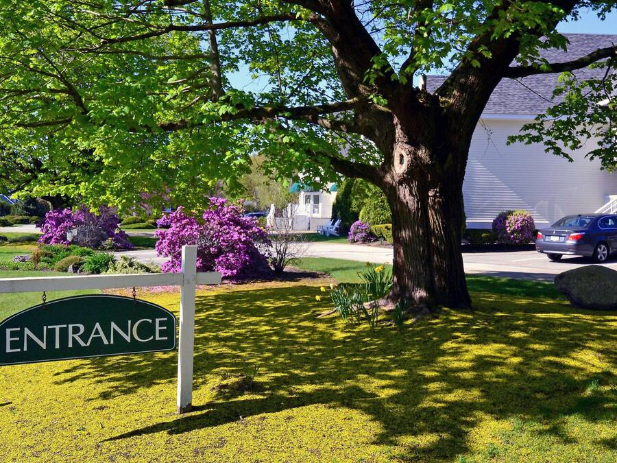 A sign labeled "ENTRANCE" in front of a large tree with a well-maintained lawn and flowering shrubs.