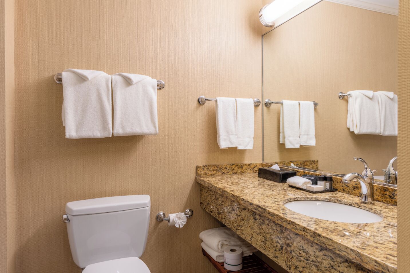A bathroom with a toilet, sink, and towel racks.