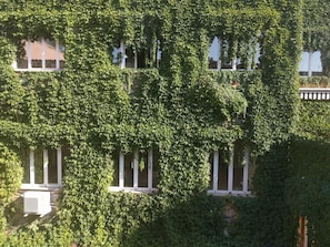 Exterieur
