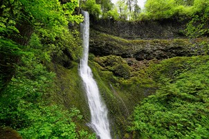 Una cascada rodeada de exuberante follaje verde.