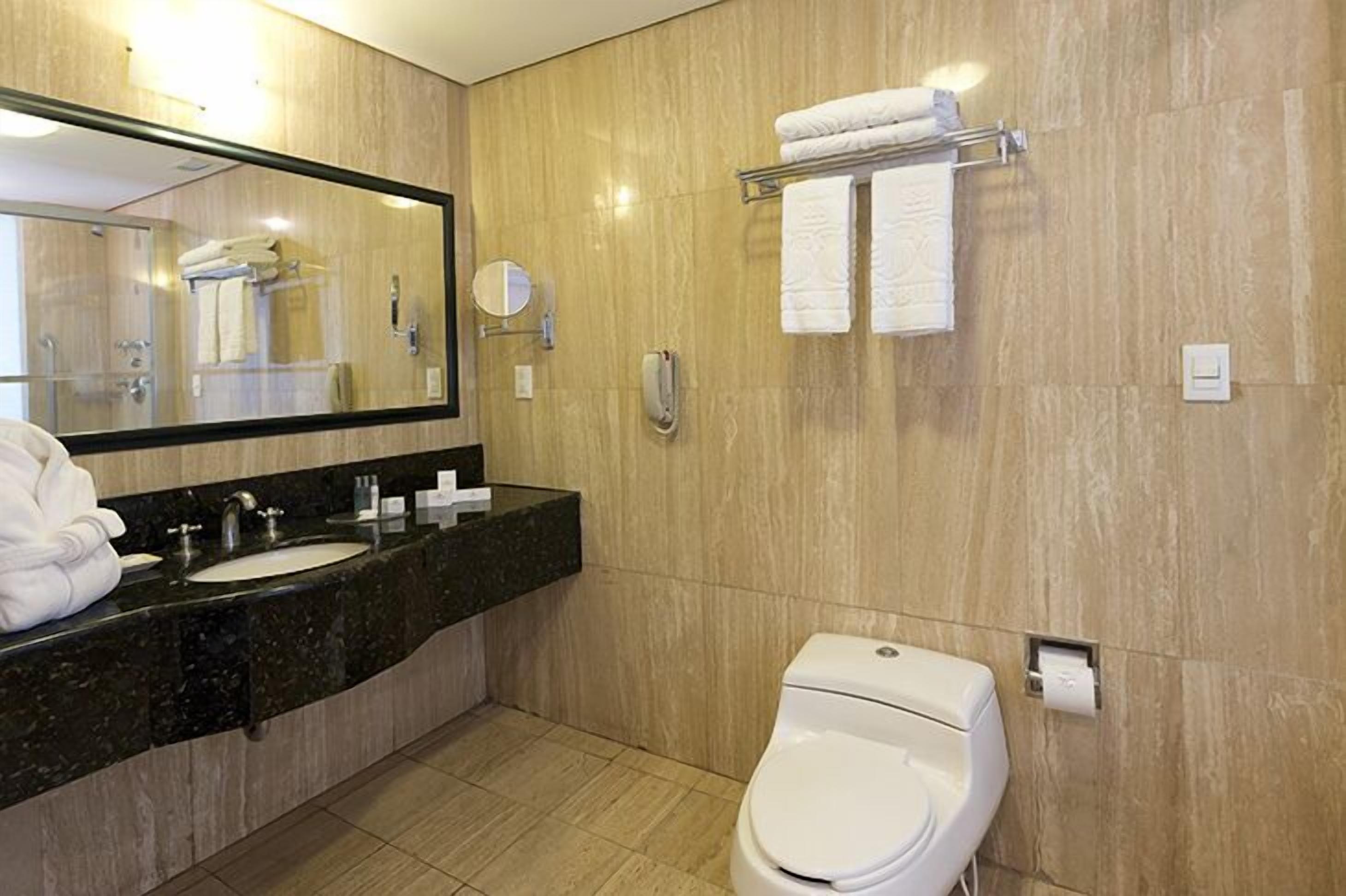 A modern bathroom with two sinks, a toilet, a large mirror, and a towel rack.