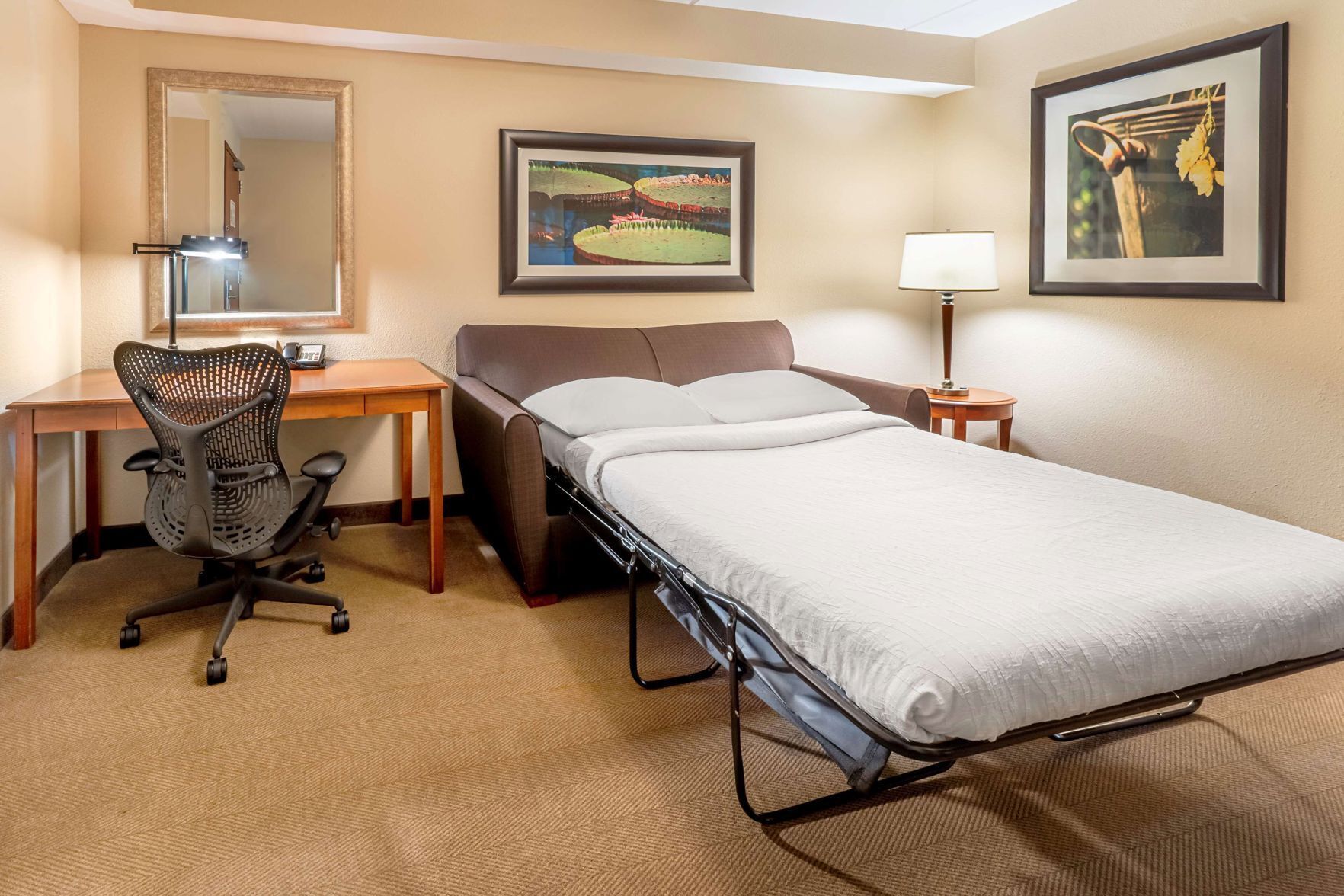 Hypo-allergenic bedding, in-room safe, desk, laptop workspace