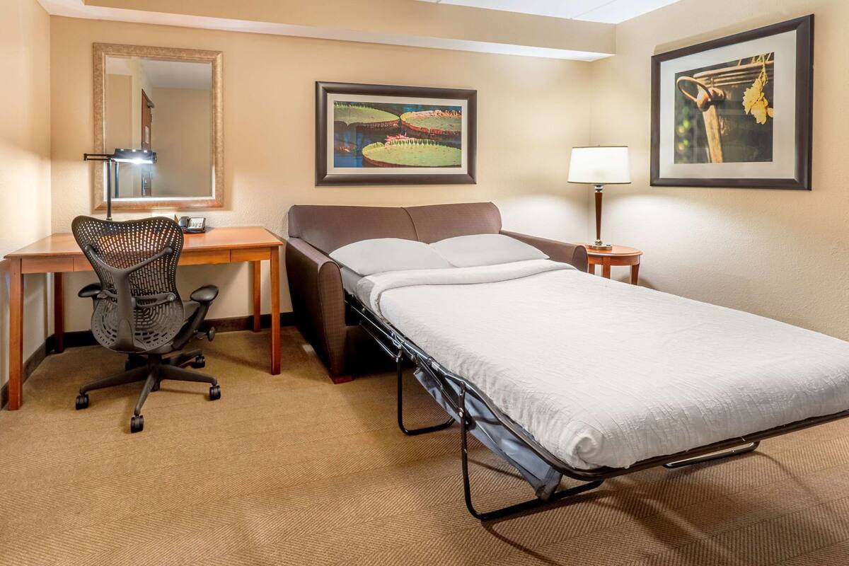 Hypo-allergenic bedding, in-room safe, desk, laptop workspace