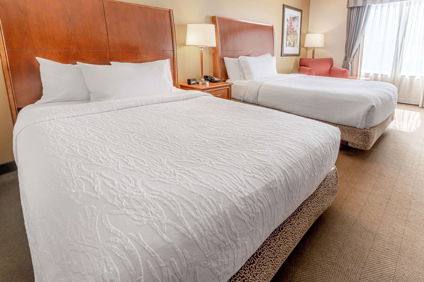 Hypo-allergenic bedding, in-room safe, desk, laptop workspace