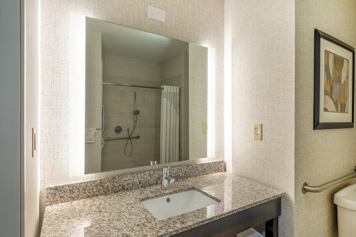 standard room, 1 king bed, roll-in shower (roll-in shower) | bathroom | free toiletries, hair dryer, towels