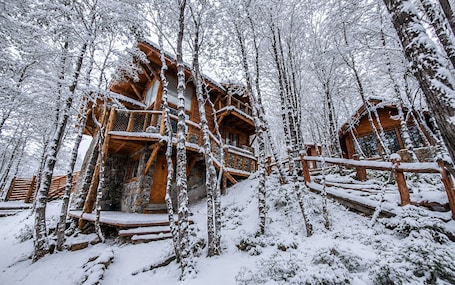 A wooden cabin with a stone foundation, surrounded by snow-covered trees.. Patagonia Villa