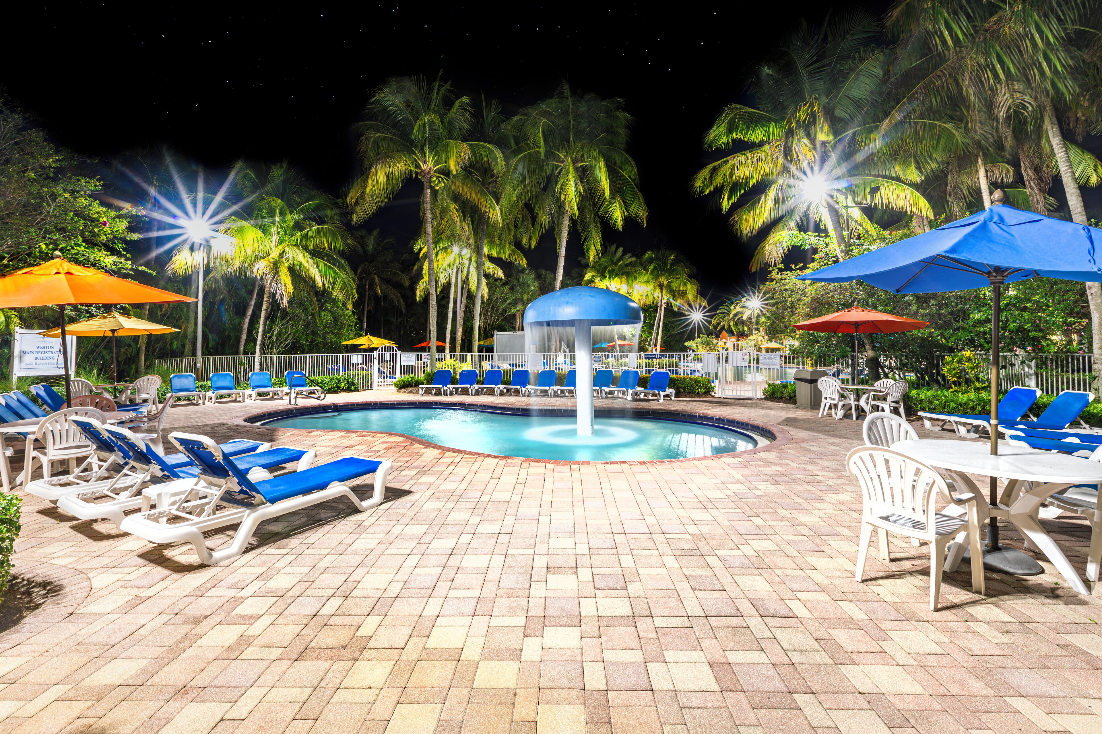 A pool area with lounge chairs and umbrellas, surrounded by palm trees.