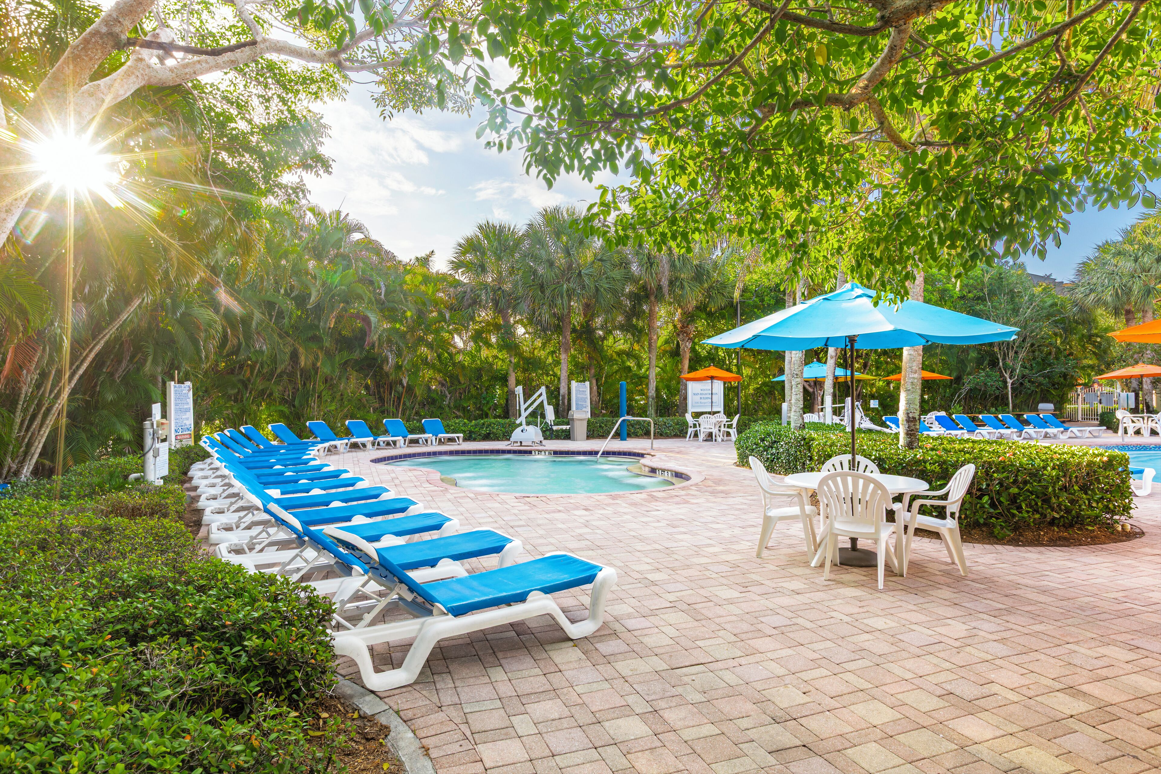 A poolside area with lounge chairs and umbrellas, surrounded by lush greenery.