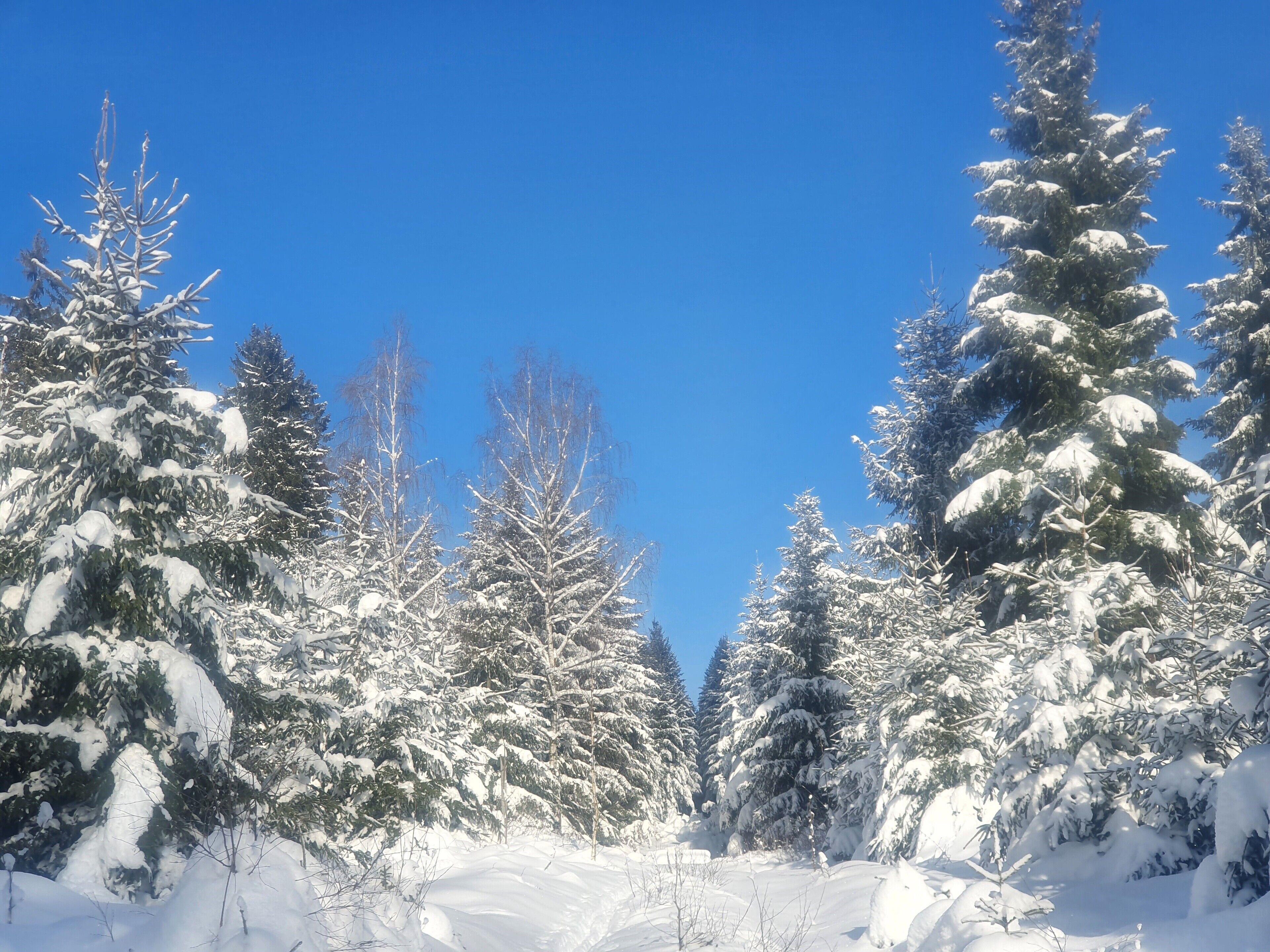 雪地及滑雪運動