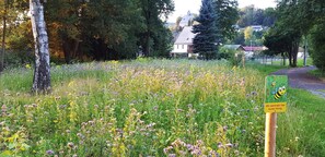 Garden - Hotel Saigerhuette (Olbernhau)