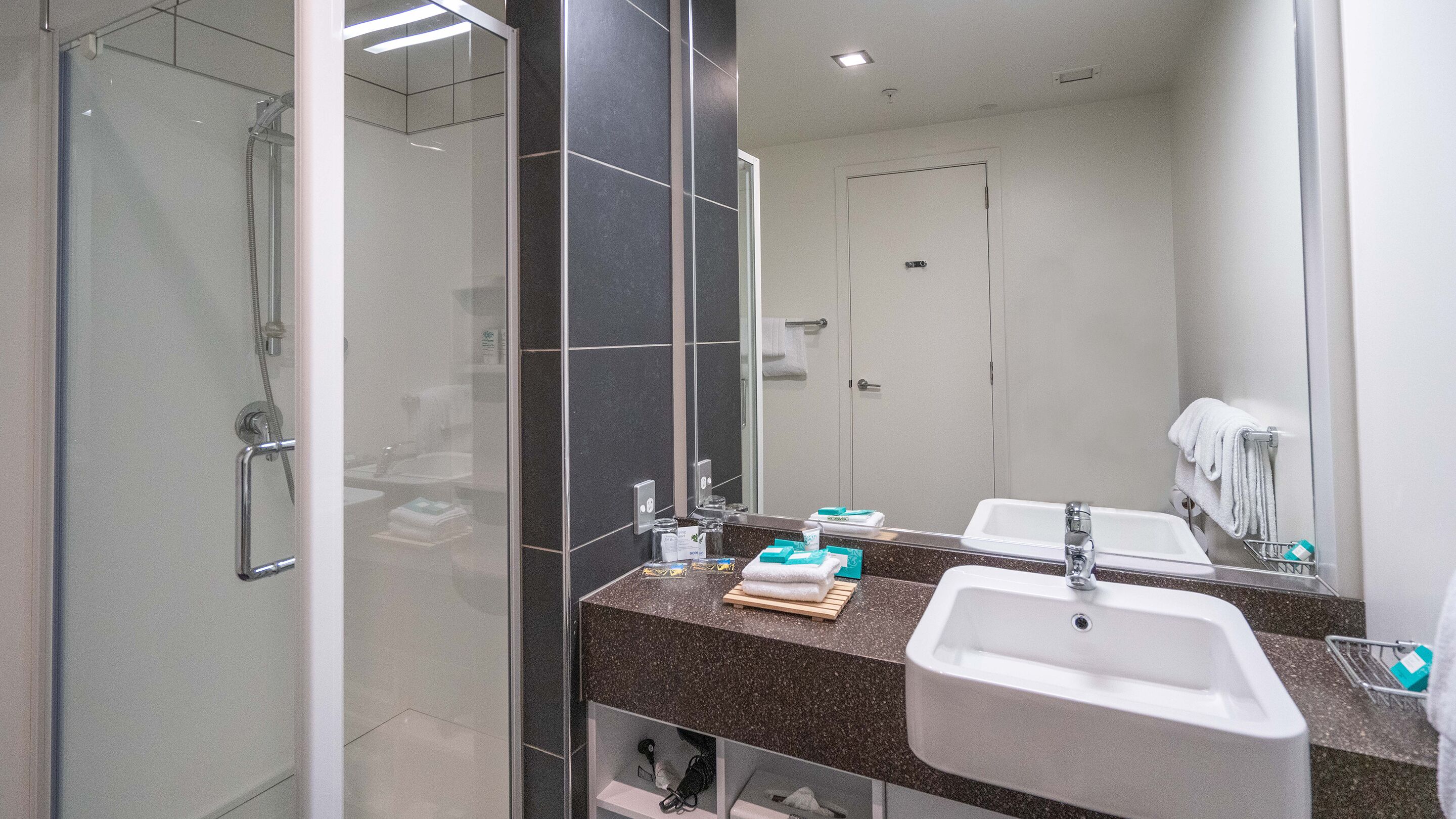 shower, free toiletries, hair dryer, towels