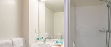 A modern bathroom with a glass shower enclosure, a white sink, and a mirror.