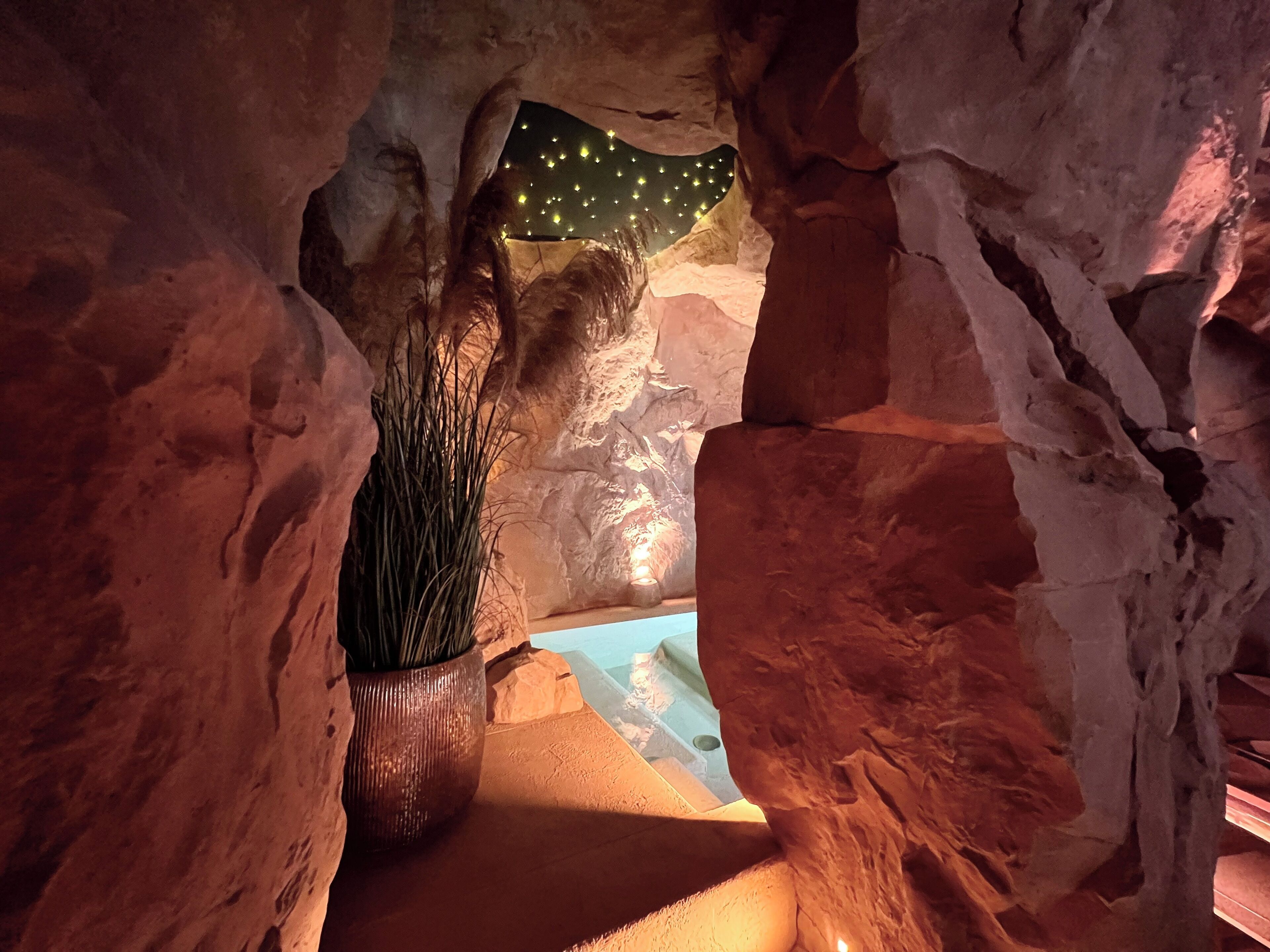 An interior with a rock formation, a plant in a pot, and a small pool.