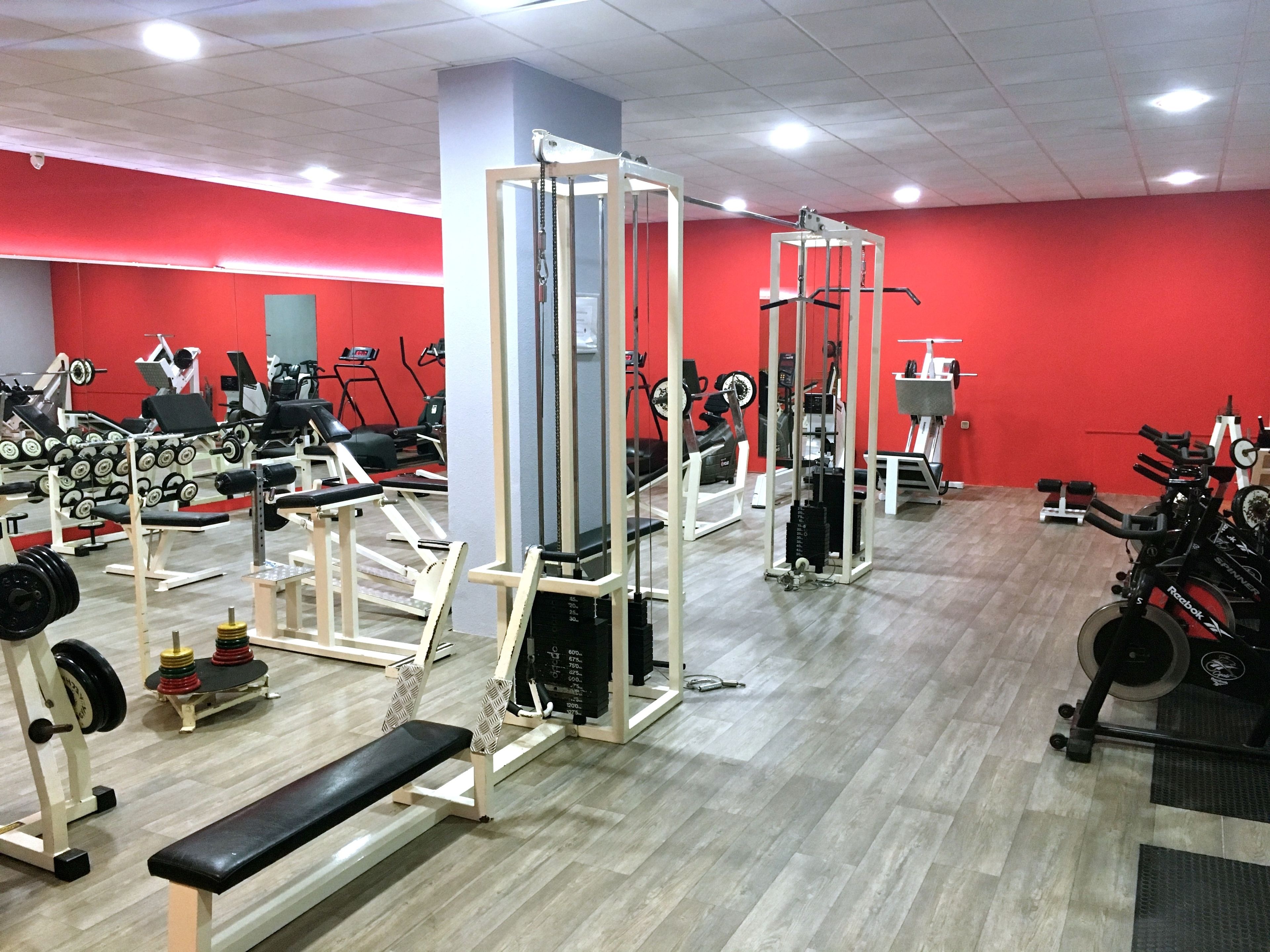 Gimnasio