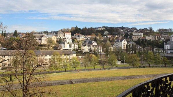 A town with historic buildings, a grassy area, and a river in the background.