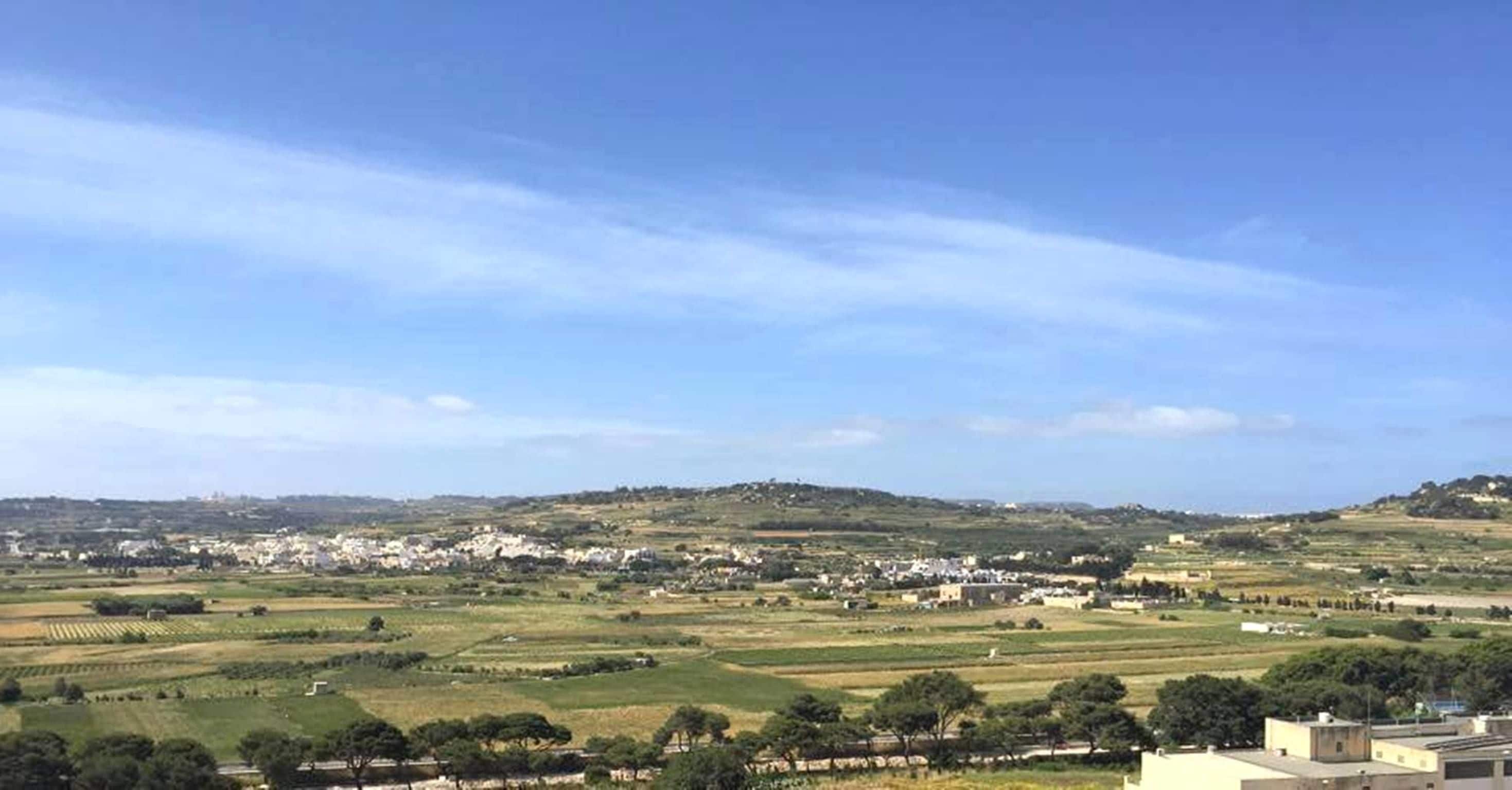 Un paisaje rural con campos, árboles y un pueblo lejano.