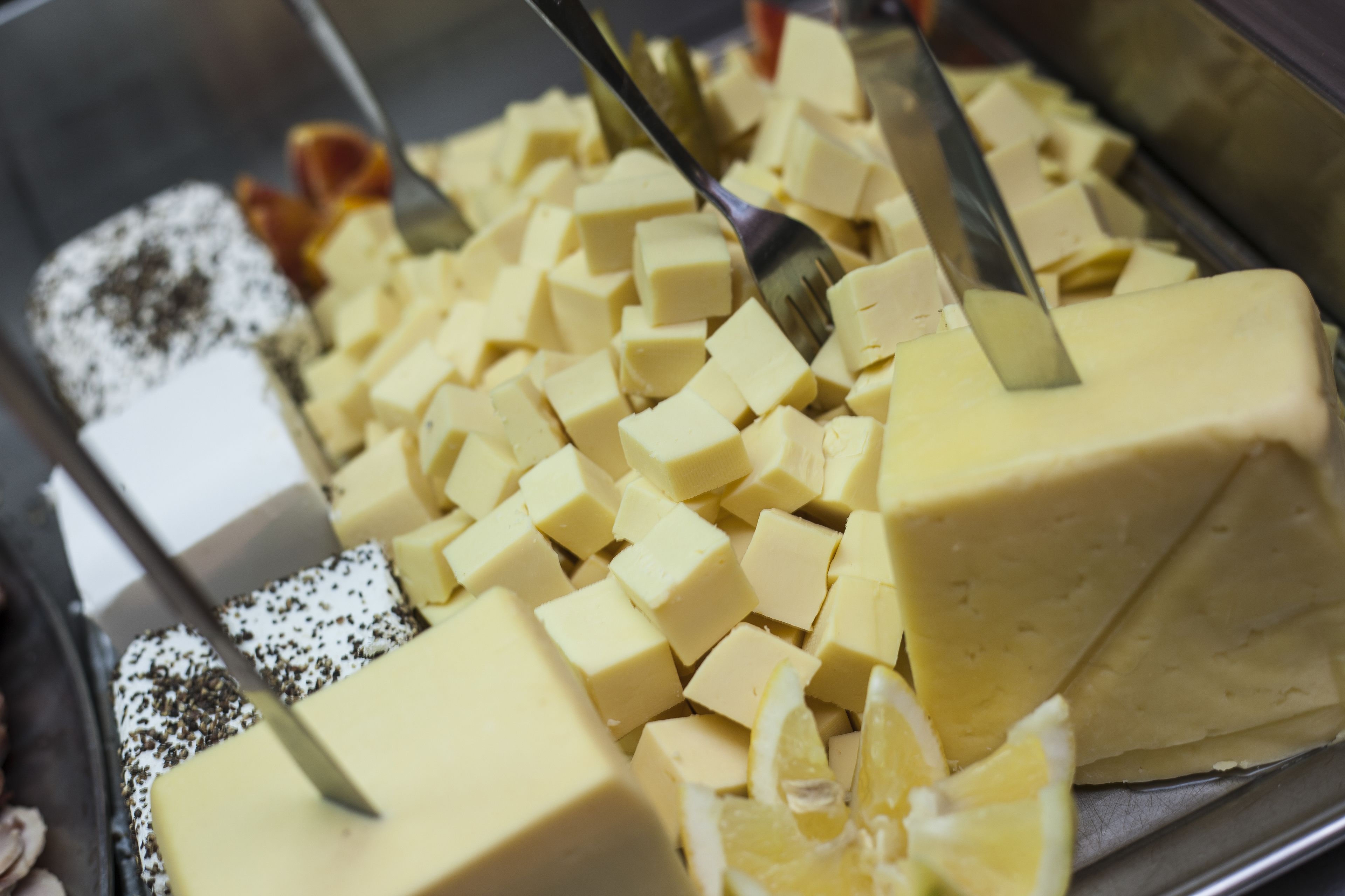 Foto - Canifor Hotel